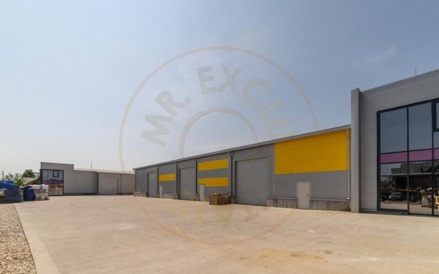 Inchiriere hala noua zona Bascov la DN 7C - 6