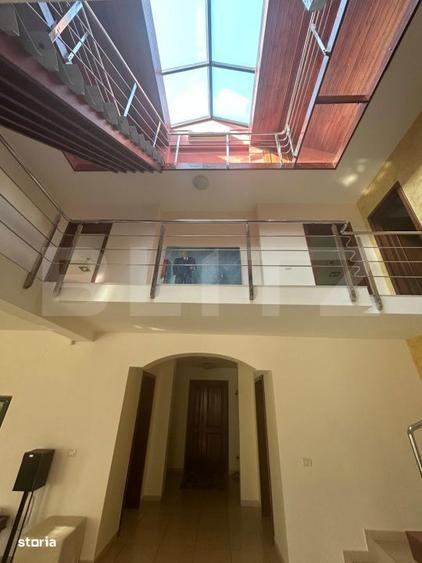 Vila Remetea Mare 380mp utili, 3982 mp teren - 6