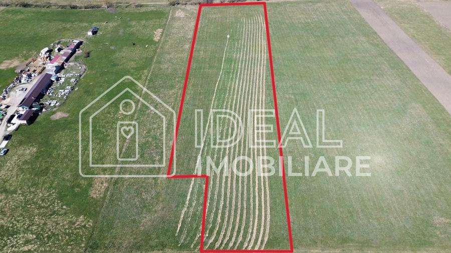 Teren 8.782 mp | 2 parcele alipite | Calea Cisnădiei – zona Seviș - 2