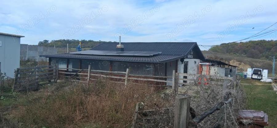 Ferma de vanzare , zona Dambu - 4