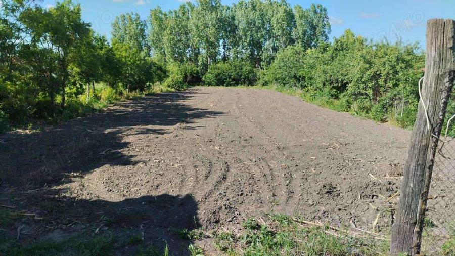 Casa de vanzare Salacea - 2