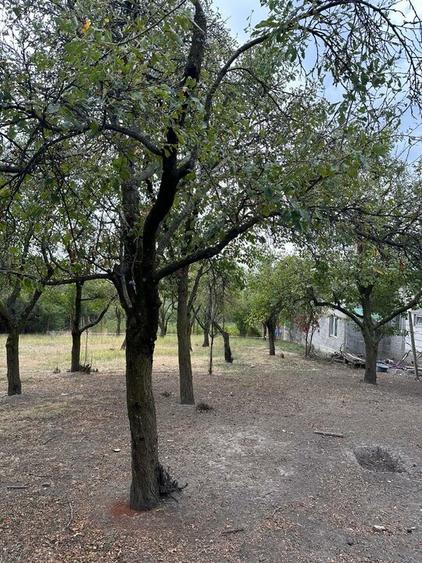 Stefanesti-sat Viișoara, Argeș, teren intravilan racordat la toate utilitățile - 8