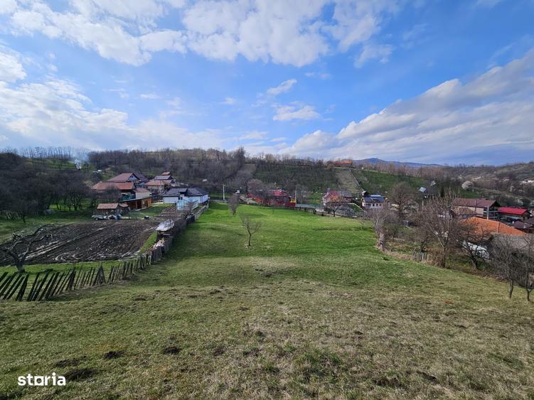 Teren intravilan Comanesti Bacau cu utilitati - 5