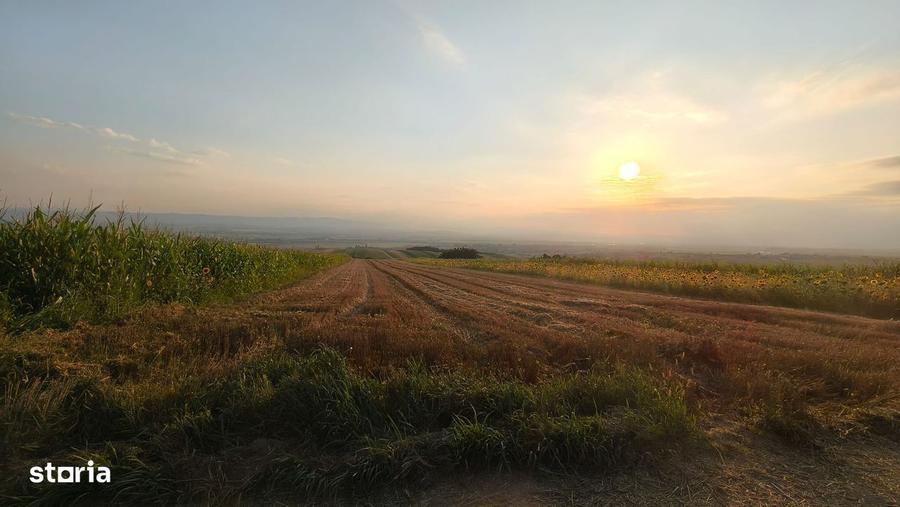 Teren intravilan 5700 mp, Vadu Moldovei - 3