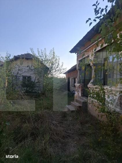 Casă cu Teren 5038 Mp în Pleșoiu