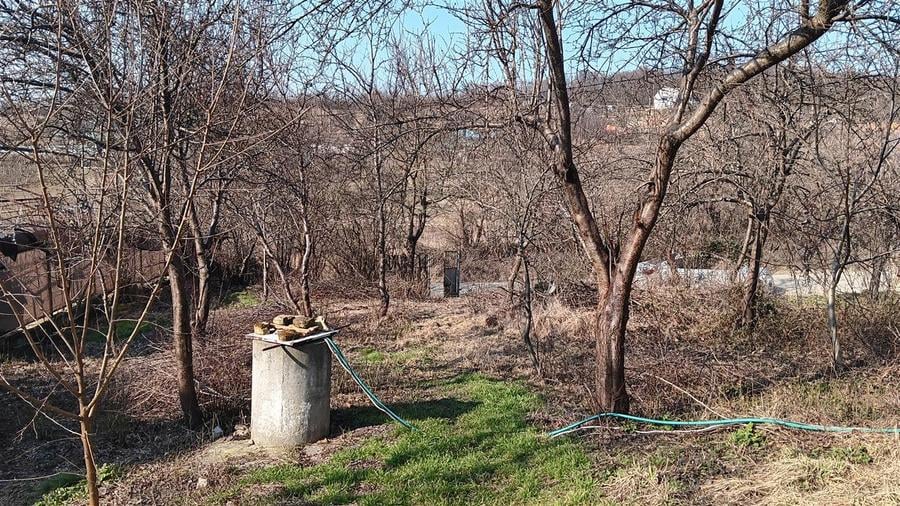 Teren Construcții intravilan de 3000 mp, în Bârnova