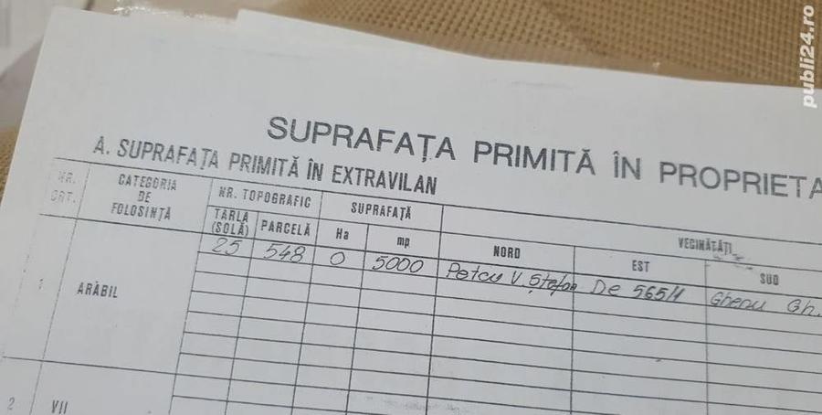 Teren de 5000 mp, în Dobroești