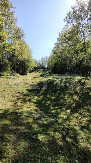 Teren extravilan de 1824 mp, în Răzvad