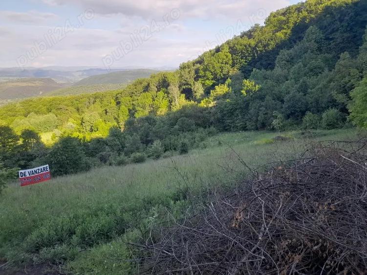 Teren în Șuncuiuș
