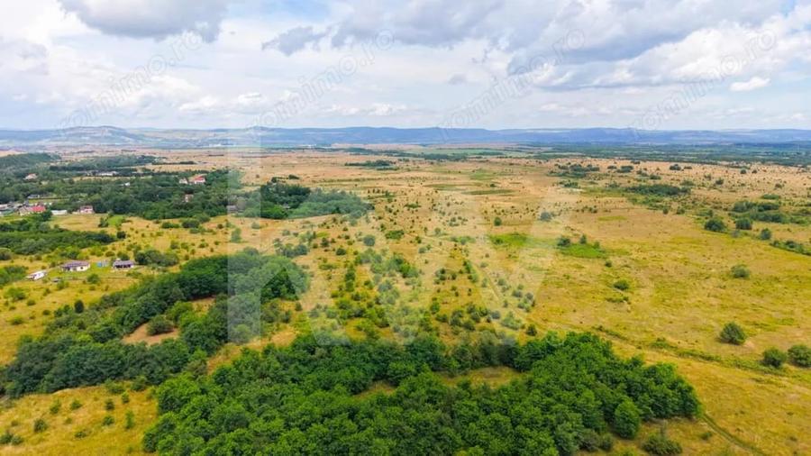 Teren extravilan de vanzare - Valea Avrigului, Sibiu - 12