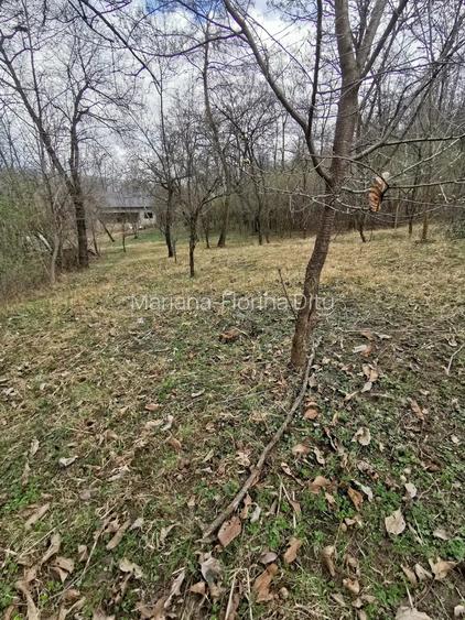 Vazare casa si teren teisani, prahova