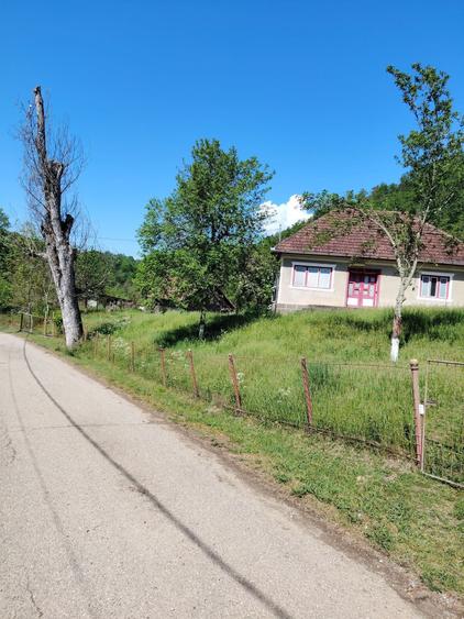 Vand casa cu teren in sat Ormindea comuna Baita - 4