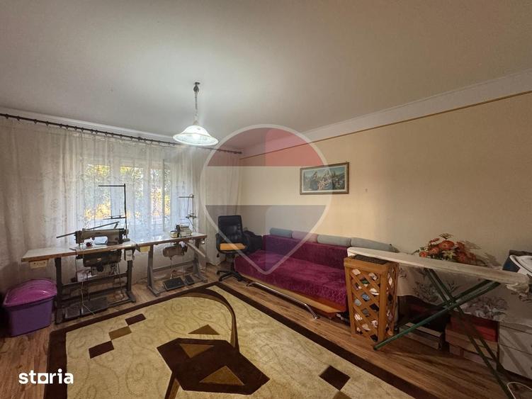 Casa cu 1439 mp teren Semlac la 37 km de Arad ( 2 cai de acces) - 12