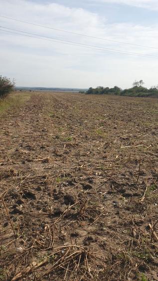 Teren intravilan - 4