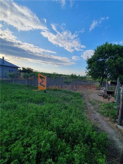 Teren intravilan zona Tintesti, jud. Buzau - 2