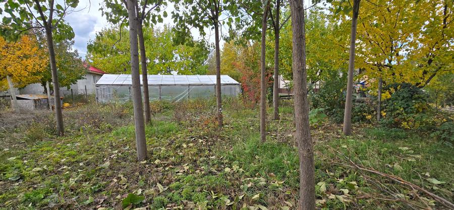 Teren  715  mp  intravilan Petresti - 15