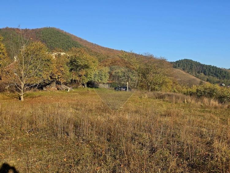 Teren 6,874mp Alexandru cel Bun / Strada plopusor - 13