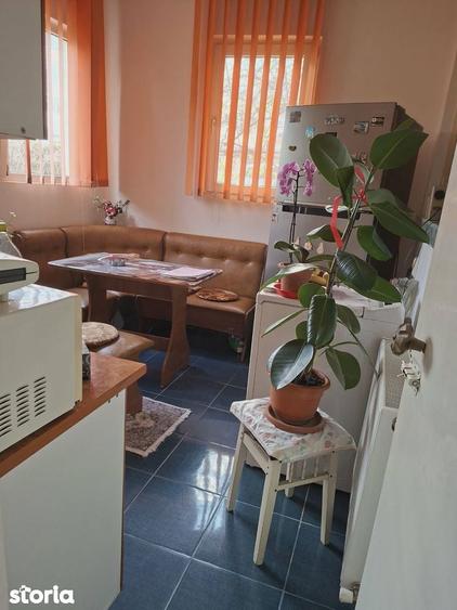 2 camere extindere Rozelor - 10