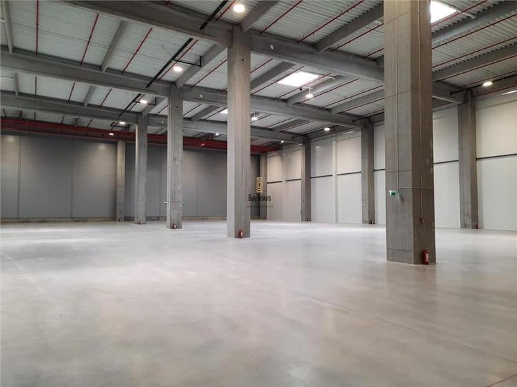 Spatiu Industrial - 5000 mp - Logistica - Productie - Depozitare - Distributie - 7
