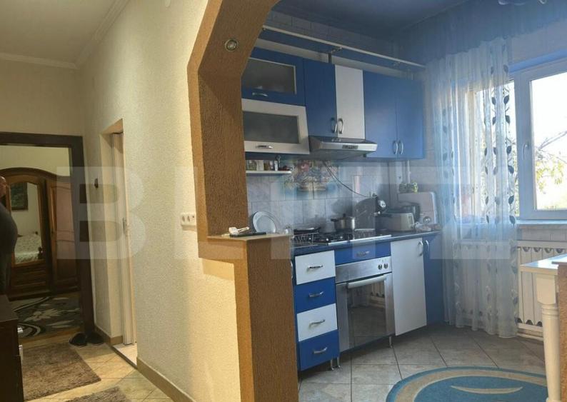 Casa de vzanzare, 240 mp, Zona Botizului - 14