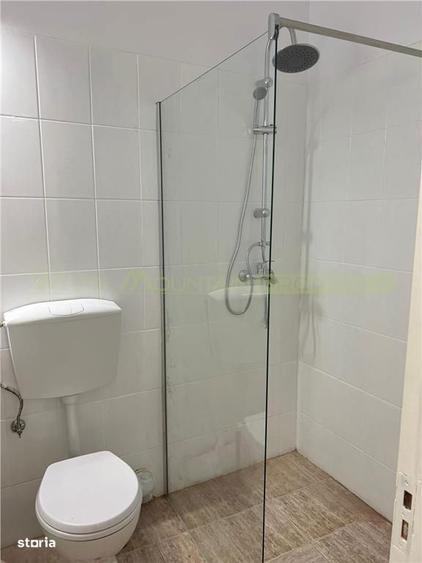 Vila, 4 camere, inchiriere lunga durata, Bucuresti, Pta Victoriei - 13