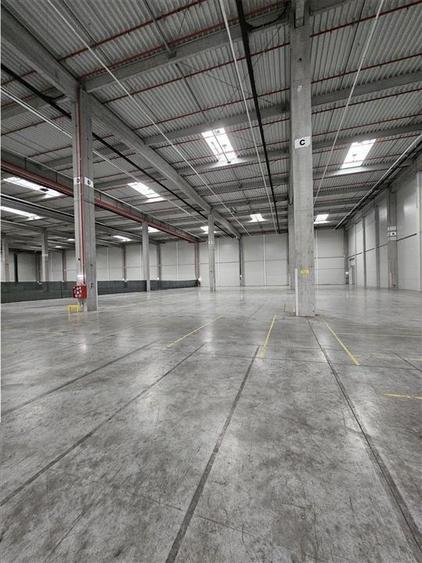 Spatiu Industrial - 6000 mp - Logistica - Productie - Depozitare - Distributie - 2