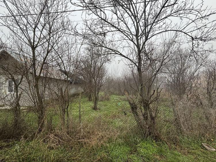 Teren vanzare + constructie / 2499 mp / electricitate+apa - 2