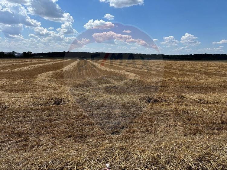 OCAZIE! Teren de vanzare Izvorani, 1858 mp, acces facil la DN1 - 2