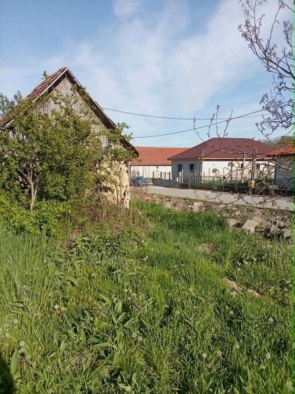 casa de vanzare in com.Calarasi - 7