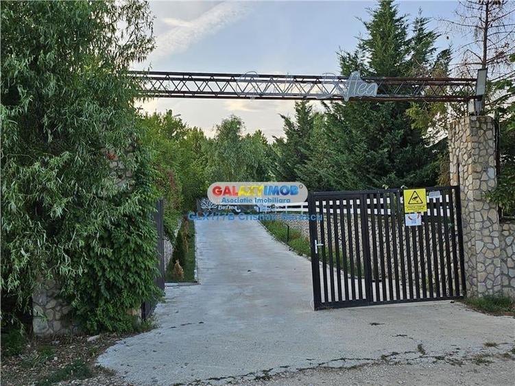 Buftea Flamanzeni 843 mp Str Independentei - 8