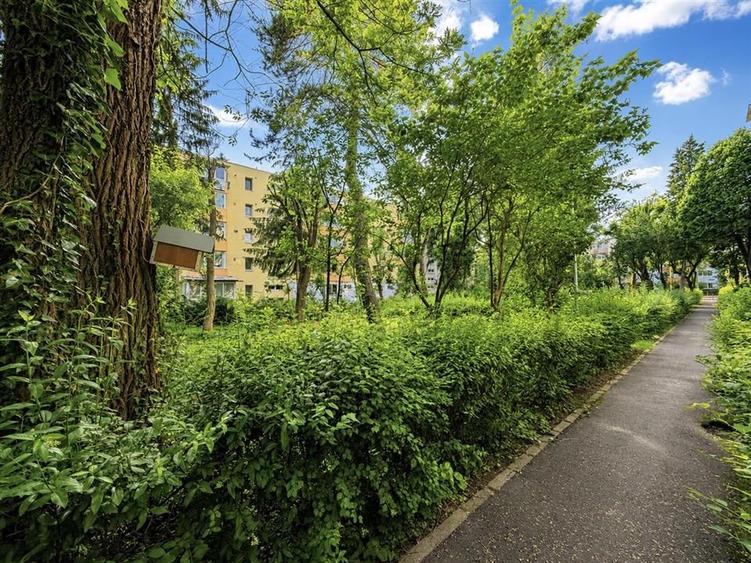 Apartament cu 2 camere in zona Gemenii de inchiriat - 12