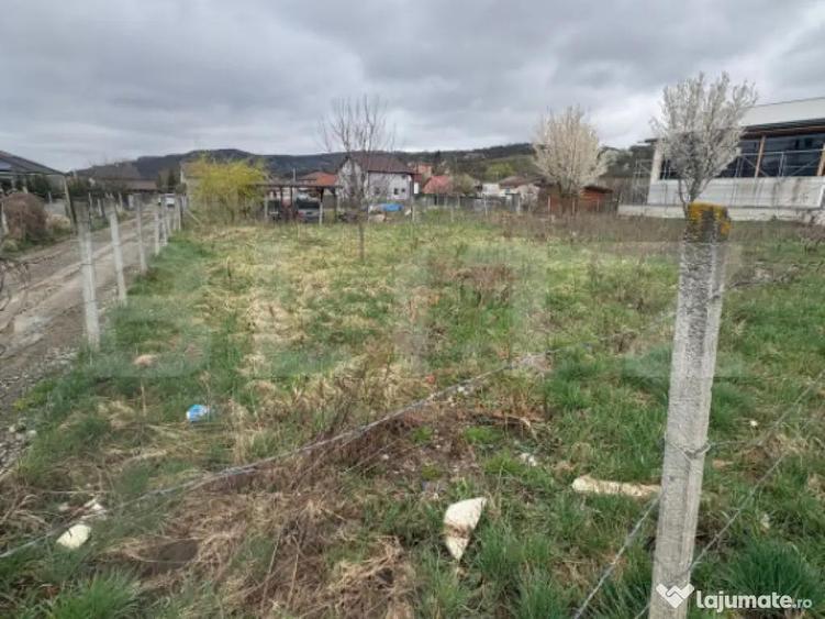Teren INTRAVILAN ZAVOAIE Pozitie Excelenta - 3