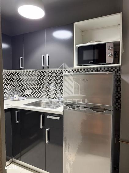 Apartament 1 Camera,Timisoara,Take Ionescu,Centrala Proprie,AC - 4