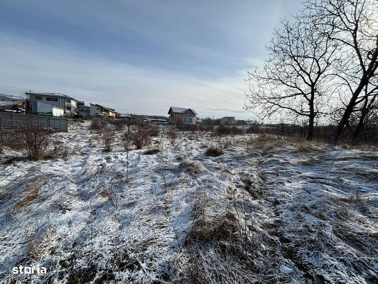 Teren intravilan Pomet/ zona de case - 2