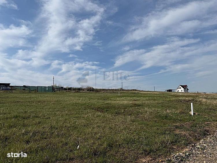 Teren intravilan 700 mp de vanzare in Paleu - 2