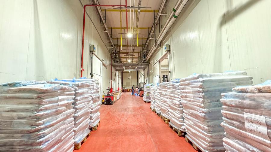 Celula frigorifica - Congelare & Refrigerare - Depozitare Marfa - Berceni - 1