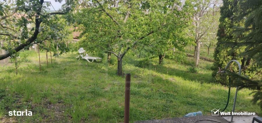 Casa cu gradina in Apahida - 10