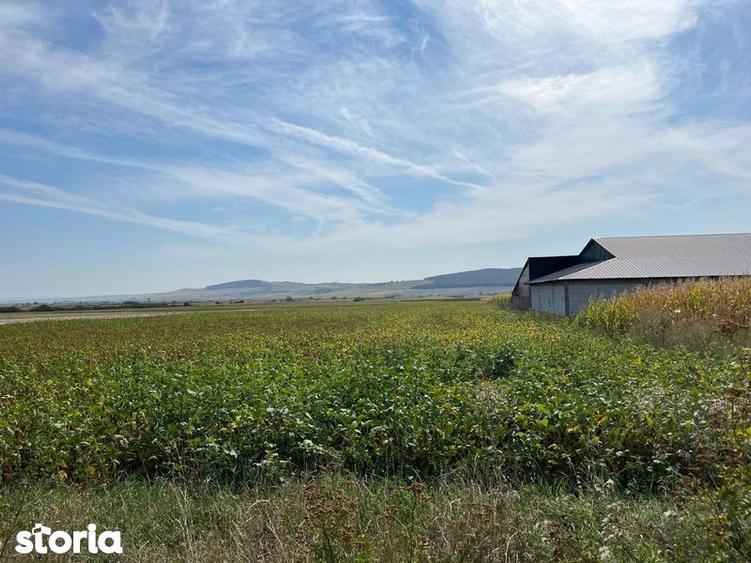 Teren extravilan - 1