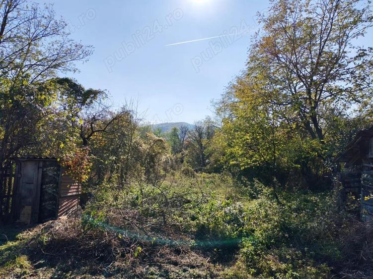 Teren 10000mp.Loc Calvini - 5