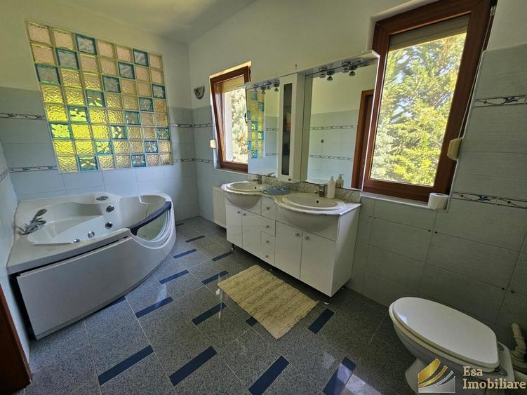 De vanzare vila individuala  Snagov padure-lac - 18