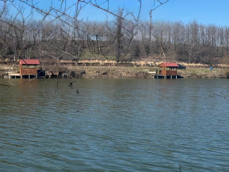 Vanzare Teren 1800mp Ganeasa Piteasca - 6