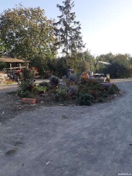 Casa si teren 1750 mp in Nuntasi, Istria - 1