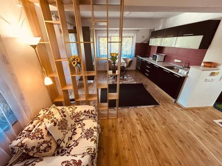 450euro-2camere 65mp-Crangasi Lacu Morii-centrala proprie - 8