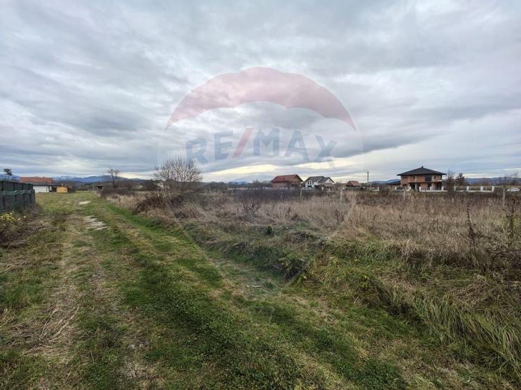 Teren de vanzare in Sacalaseni - zona case noi langa Moara Veche - 3