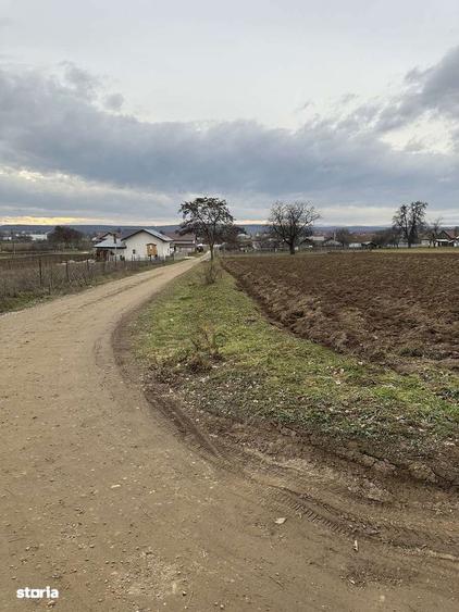 Teren intravilan in Mitoca?i - 3