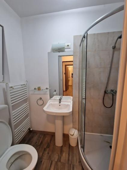 Giroc - Spatiu Comercial - 40 Mp - Cheltuieli Incluse - 3