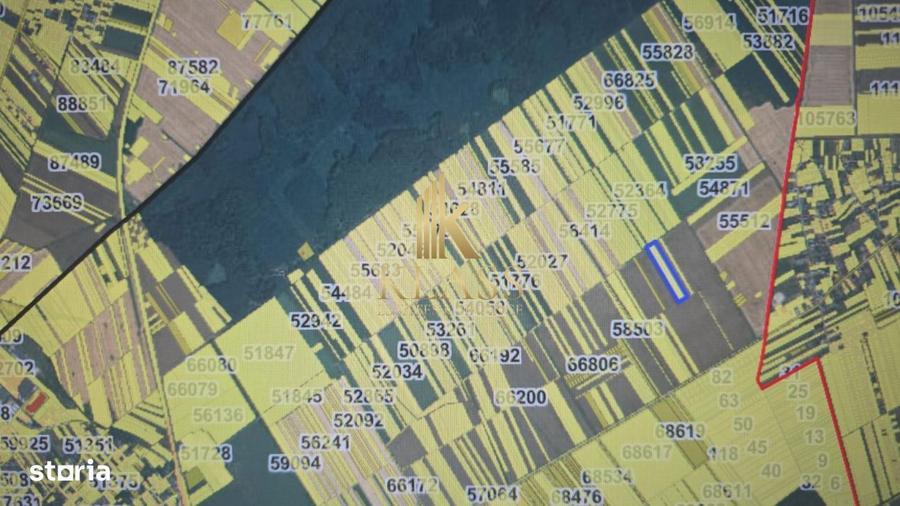 Teren Arabil 1.7 Ha Localizare Strategica intre Buftea si Corbeanc - 4