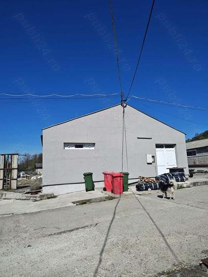 Hala la cheie Zona Vladesti - 5