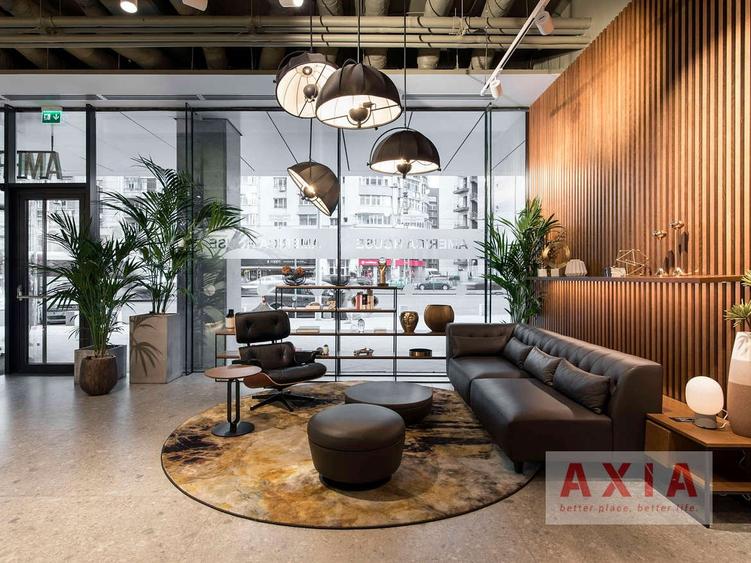 America House – Birouri clasa A in Piata Victoriei, Comision 0% - 4