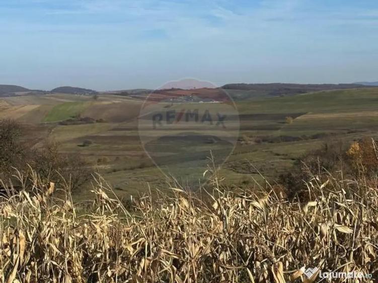 DE VANZARE - TEREN agricol - 1